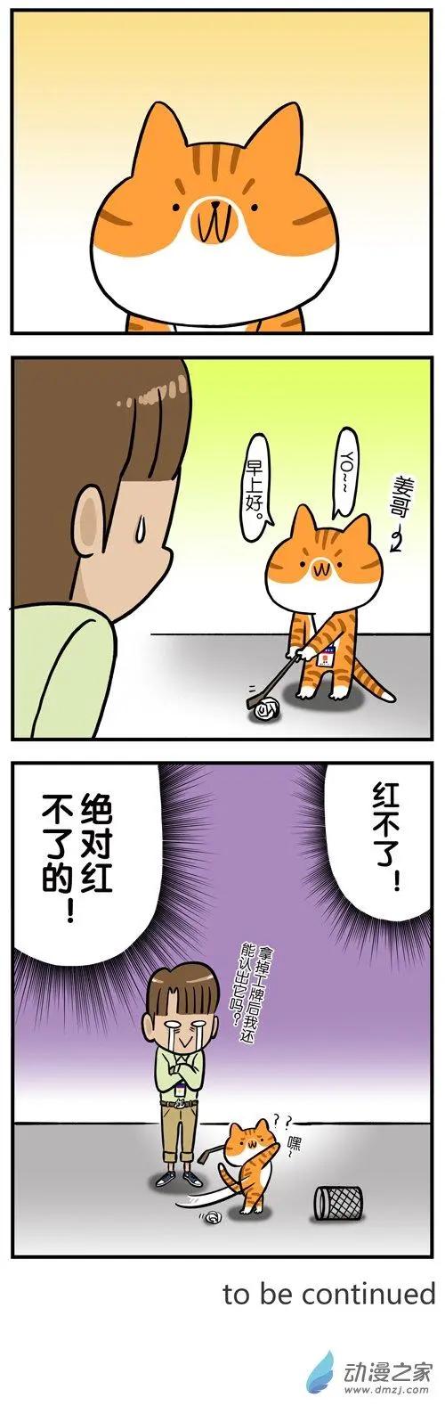 第11回 从此，我看到的橘猫都像姜哥-第11话