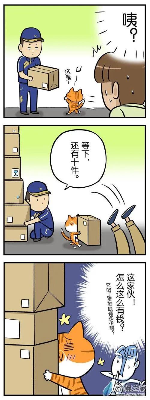 第21回 过个双11，购物车全是猫的-第21话