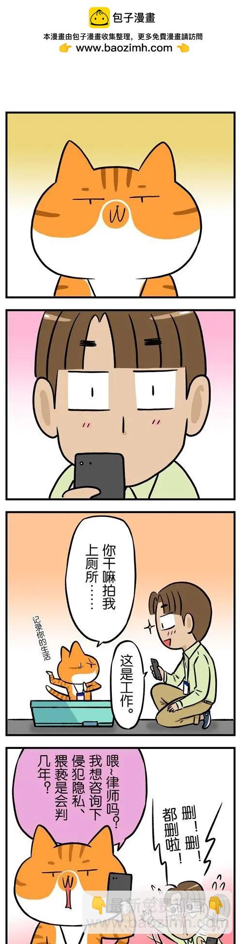第23回 自从养了猫再也不能好好上过厕所-第23话