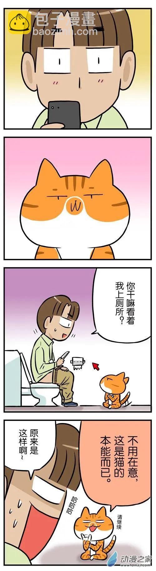 第23回 自从养了猫再也不能好好上过厕所-第23话