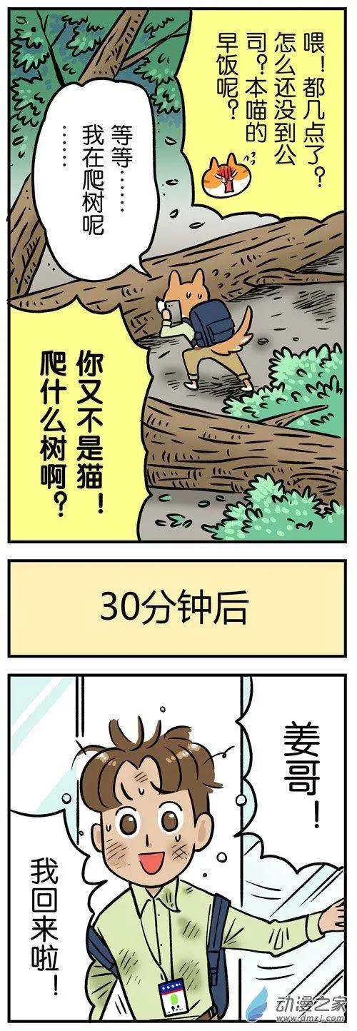 番外篇 18级&ldquo;猫爪风暴&rdquo;登陆！-第7话
