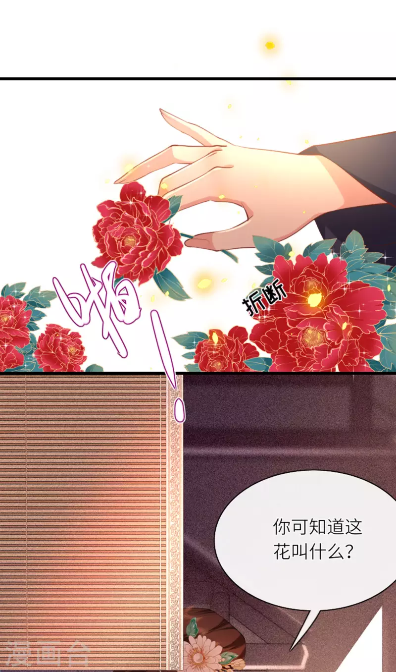 第6话 智怼恶妇-第7话