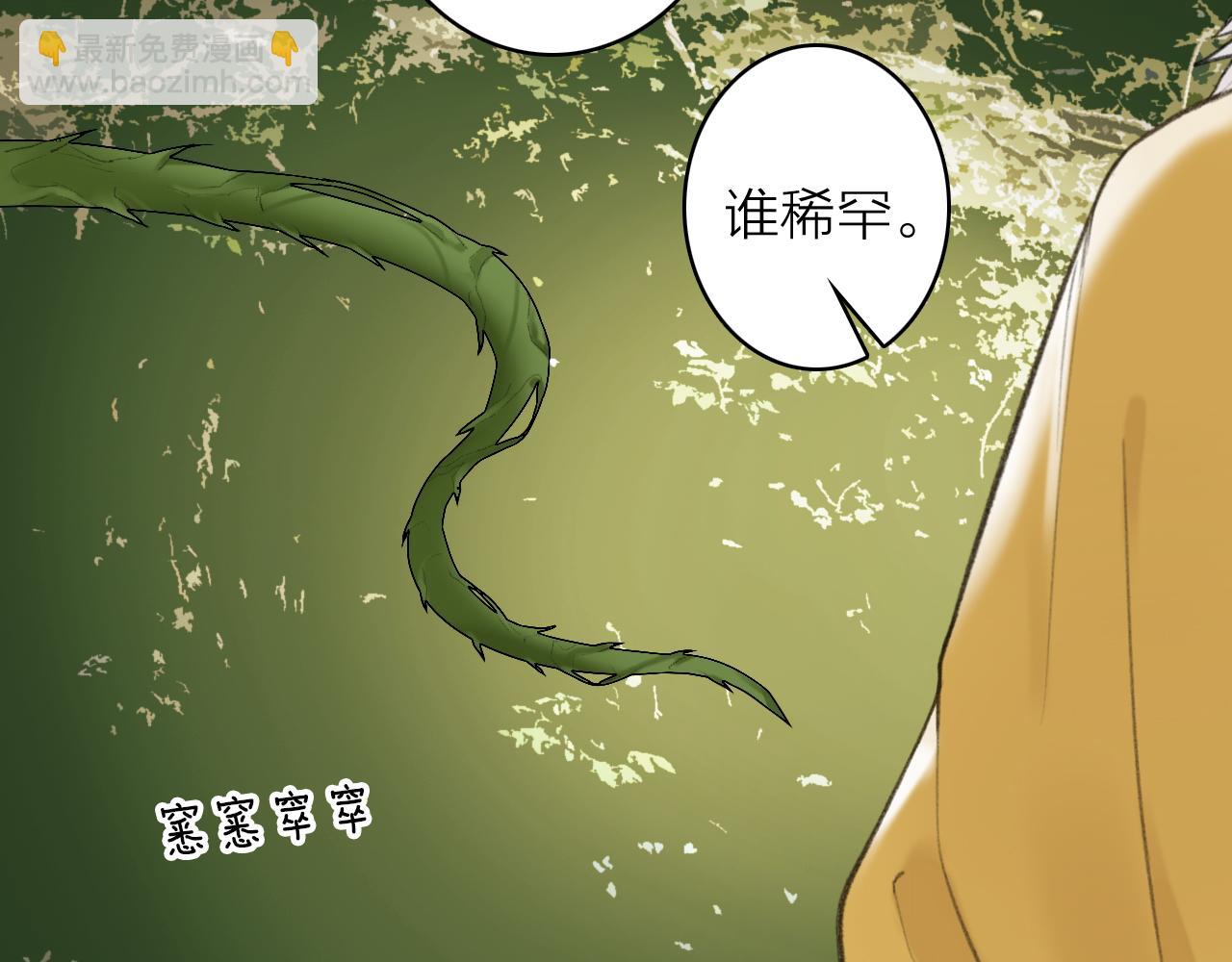 第40话 原地飞升(1/2)-第41话