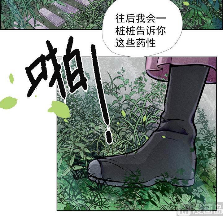 第8话 紫茎草-第9话