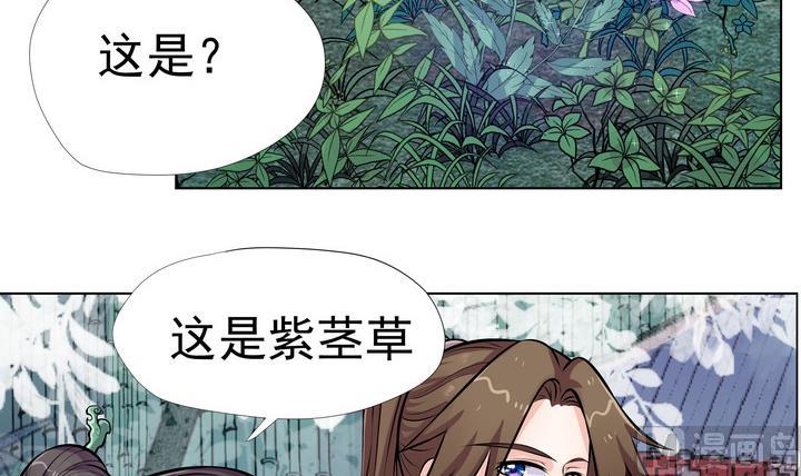 第8话 紫茎草-第9话