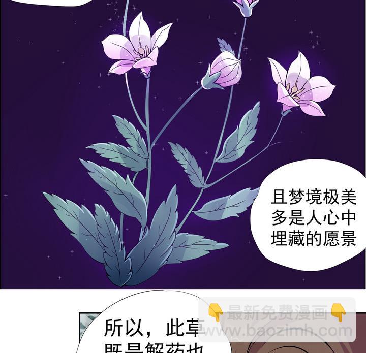 第8话 紫茎草-第9话