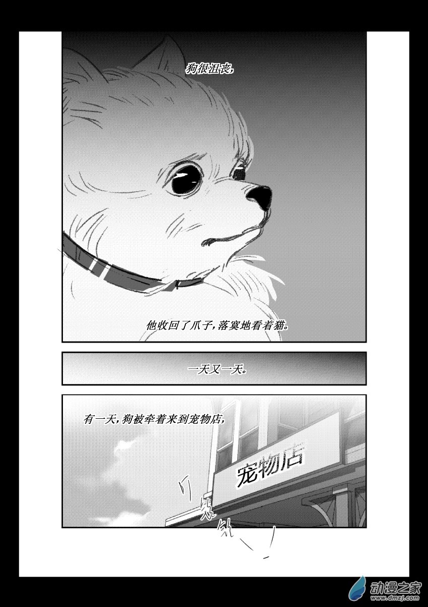 第36话 猫和狗和人（一）-第35话
