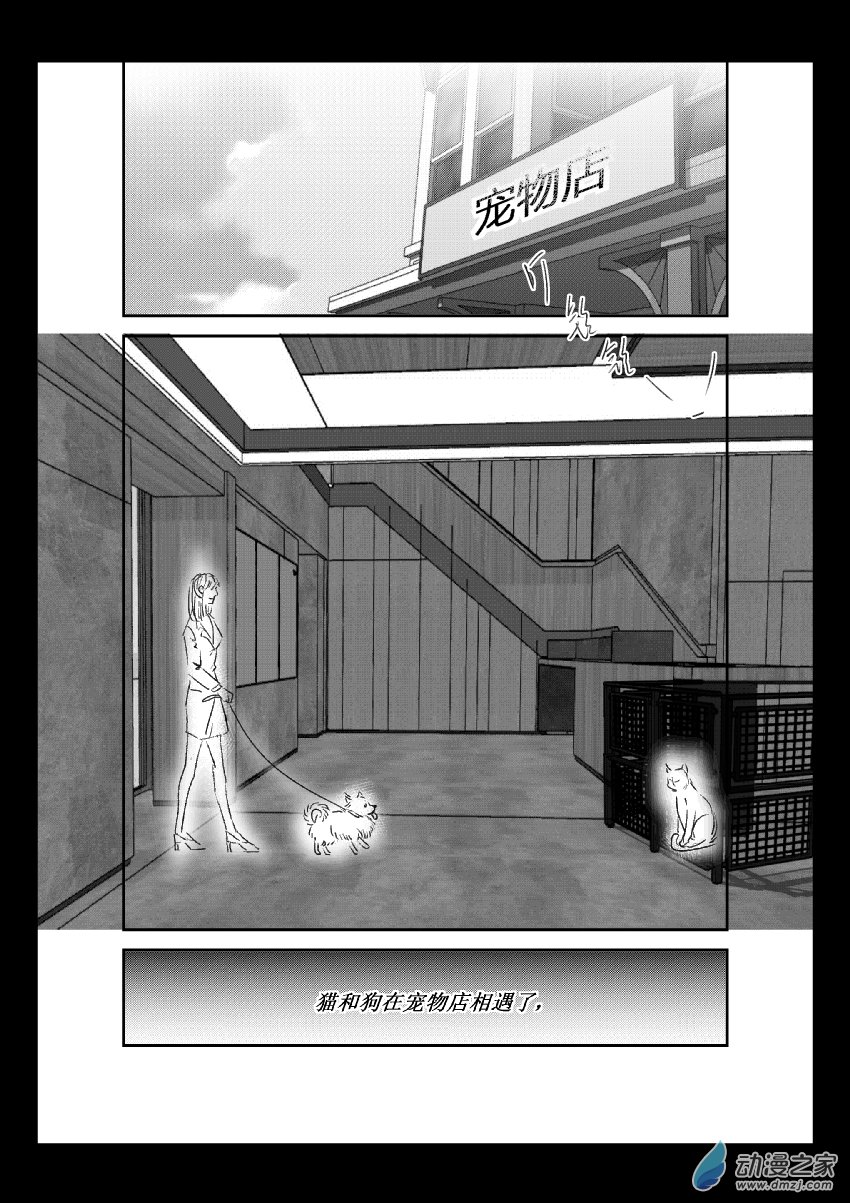 第36话 猫和狗和人（一）-第35话