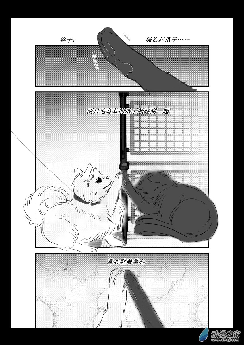 第36话 猫和狗和人（一）-第35话