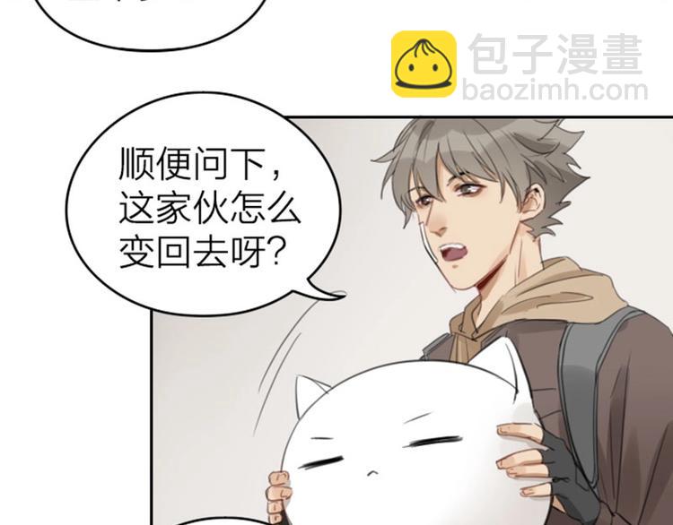 🍴降智小甜饼 第51-52话 盘猫猫头 第5页
