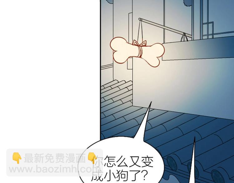 🍴降智小甜饼 第118-119话 孰美 第15页