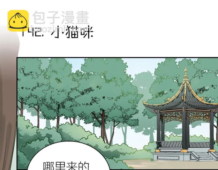 🍴降智小甜饼 第142话-第143话 猫藓 第3页