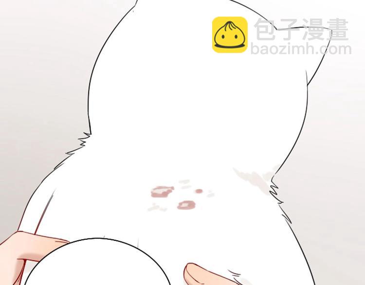 🍴降智小甜饼 第142话-第143话 猫藓 第8页