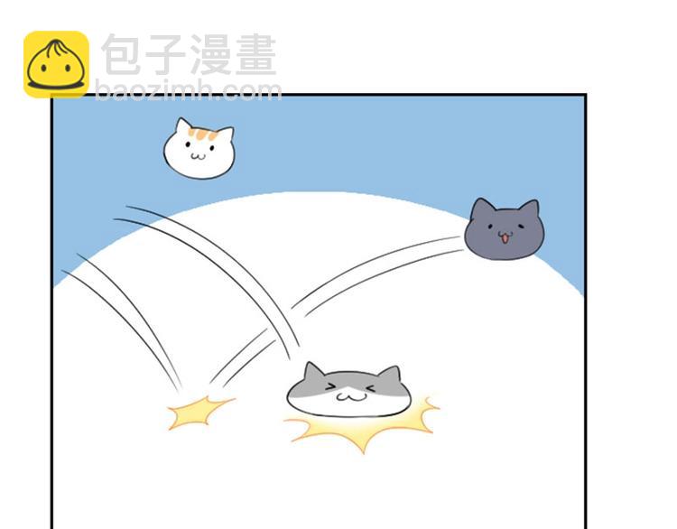 🍴降智小甜饼 第156-第157话 变猫猫！ 第40页
