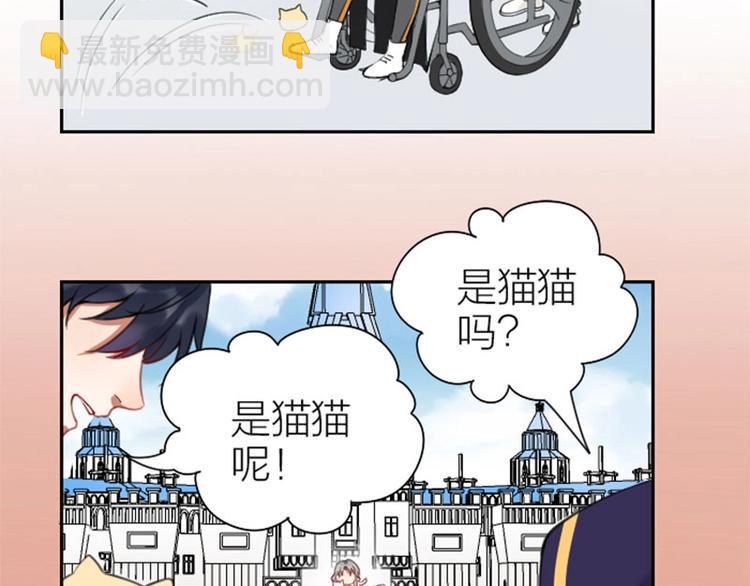 🍴降智小甜饼 第156-第157话 变猫猫！ 第42页