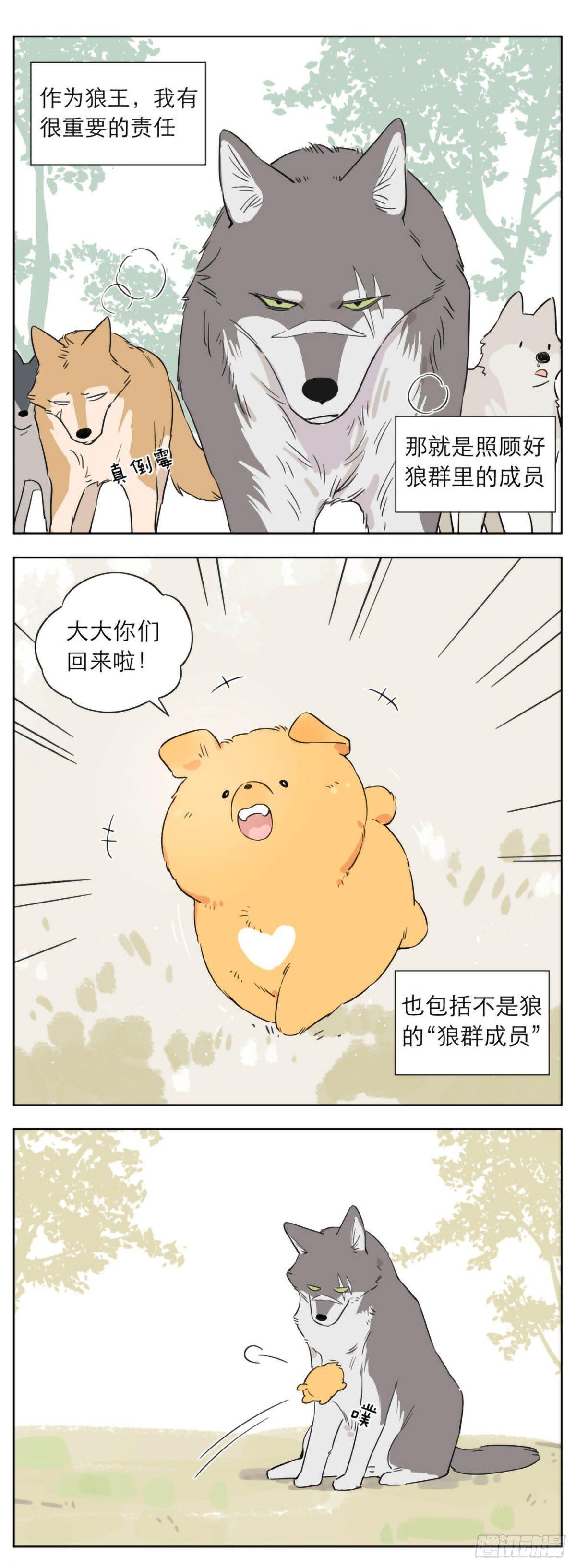 狼王的责任-第11话