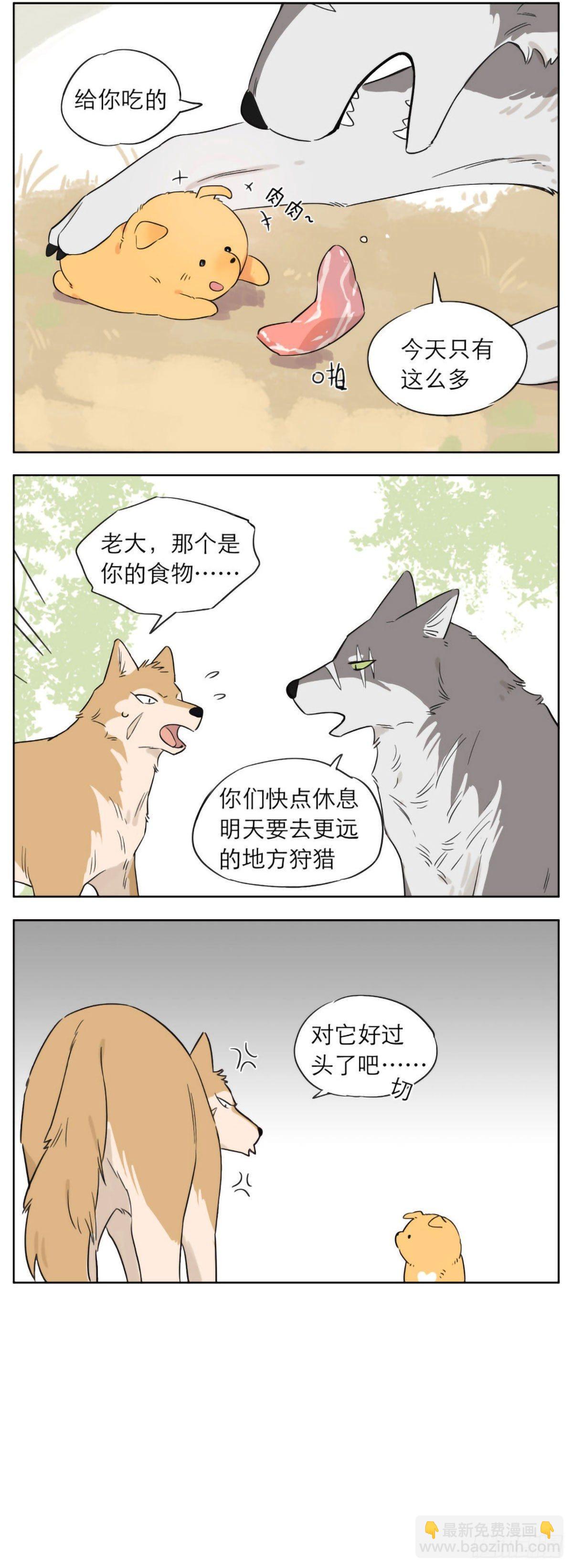 狼王的责任-第11话
