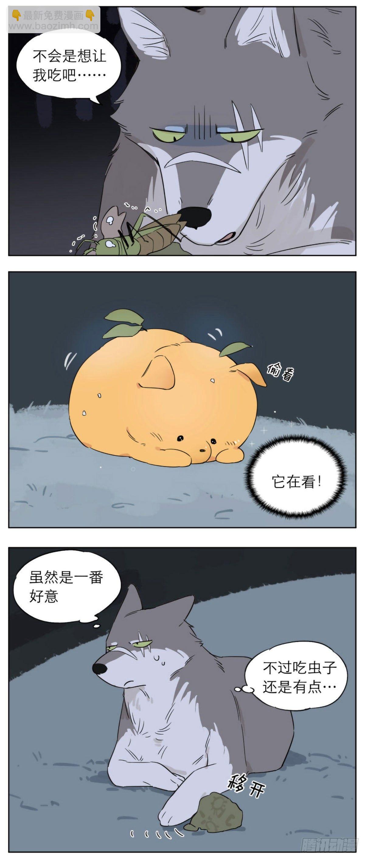 狼王的责任-第11话