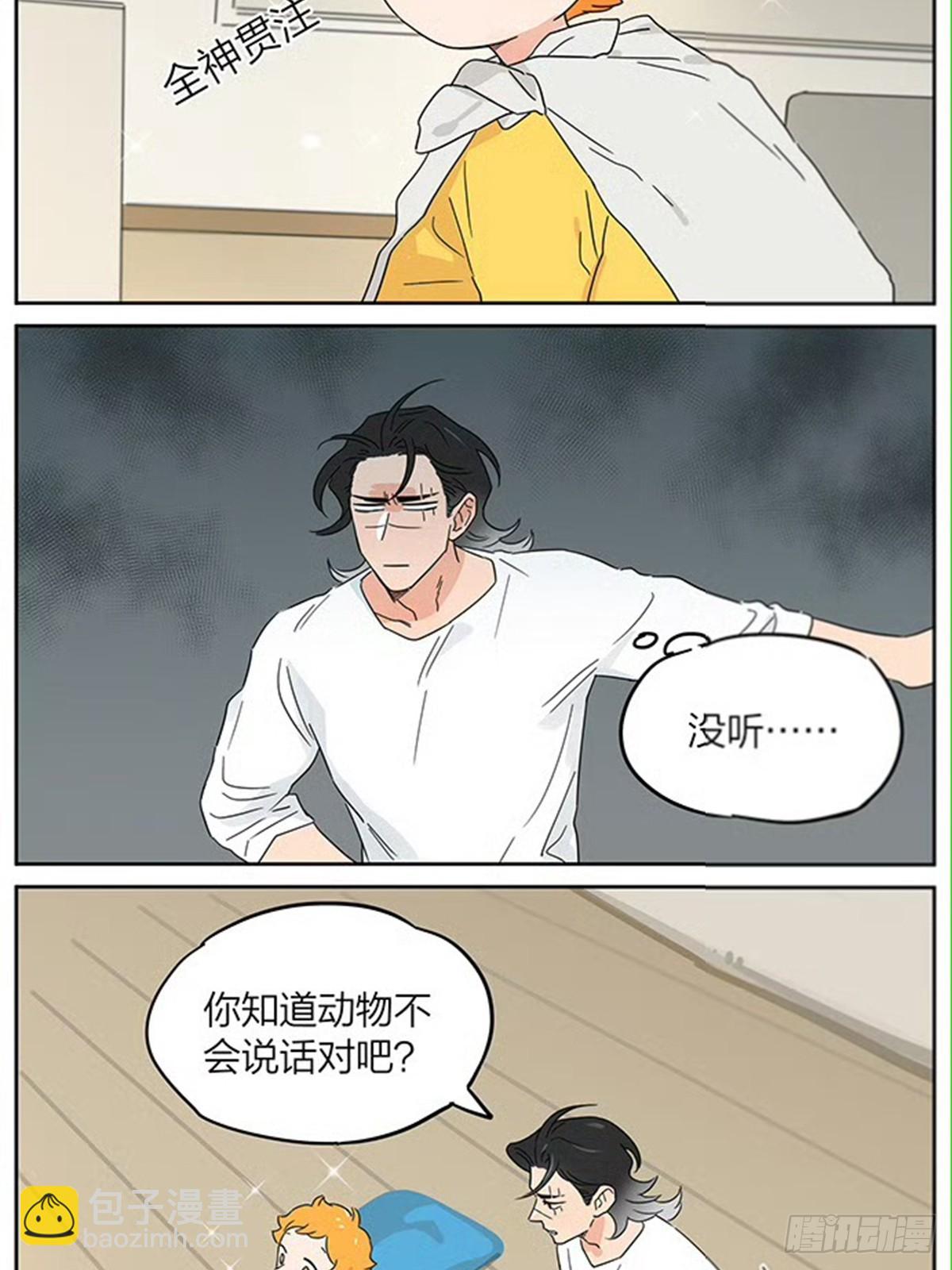 动画片-第135话