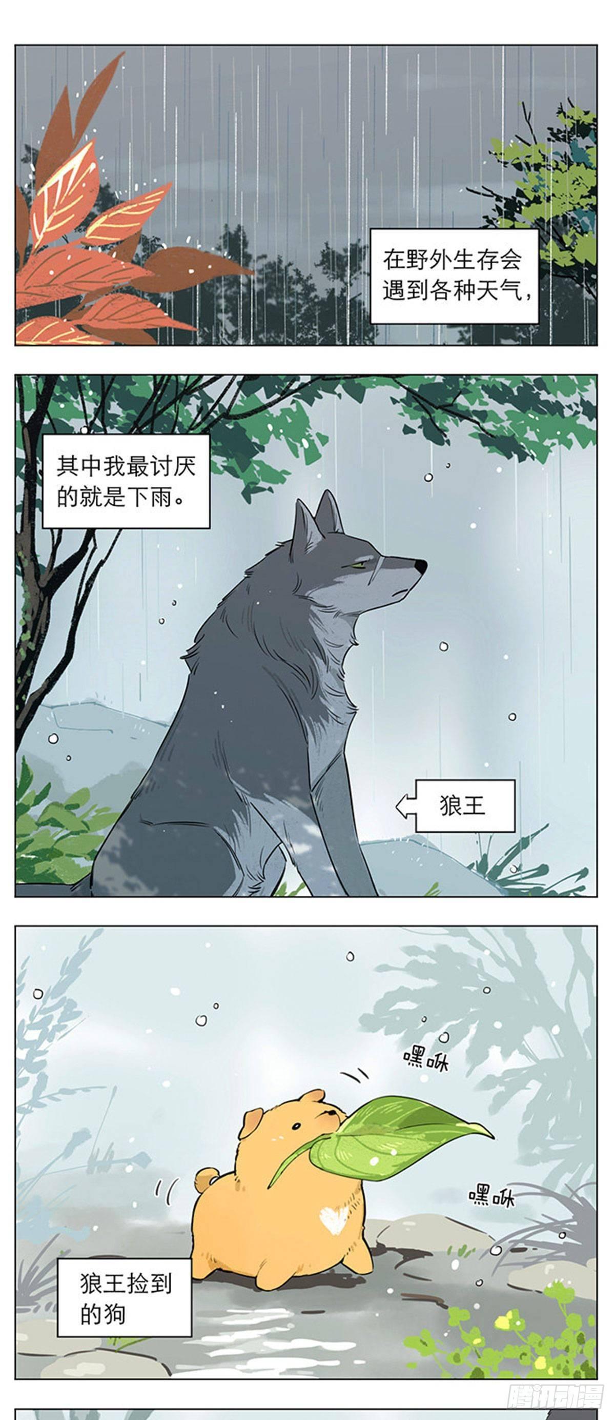 下雨天的狼王-第17话