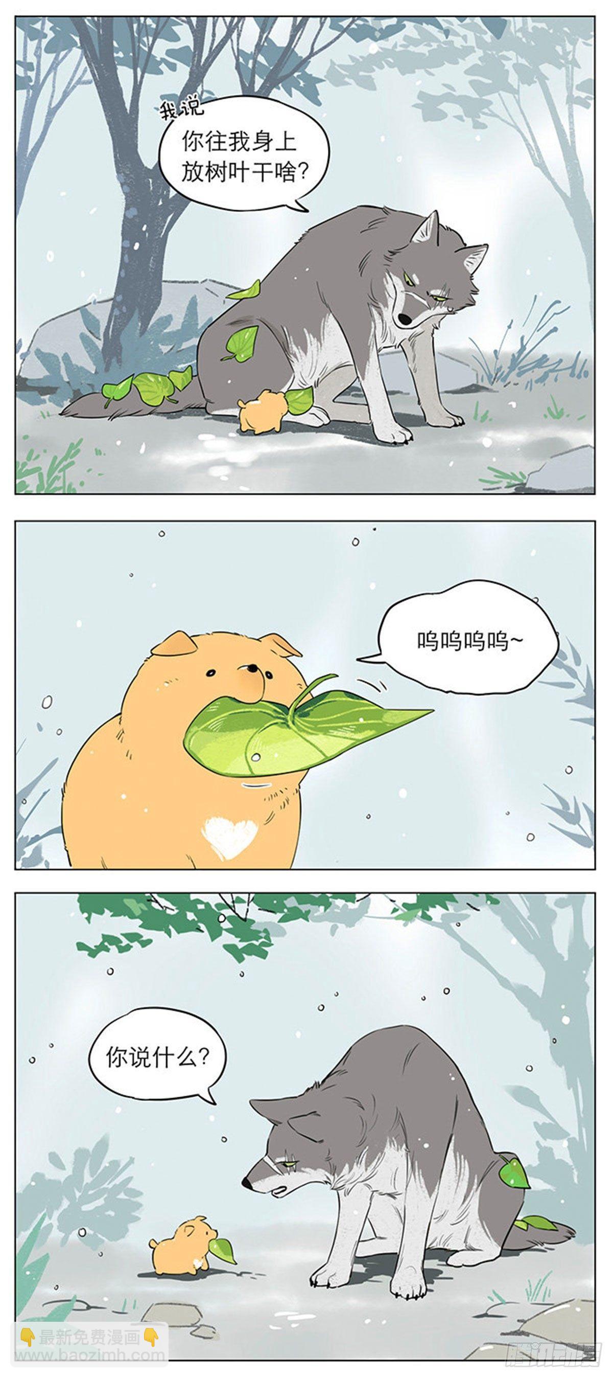 下雨天的狼王-第17话