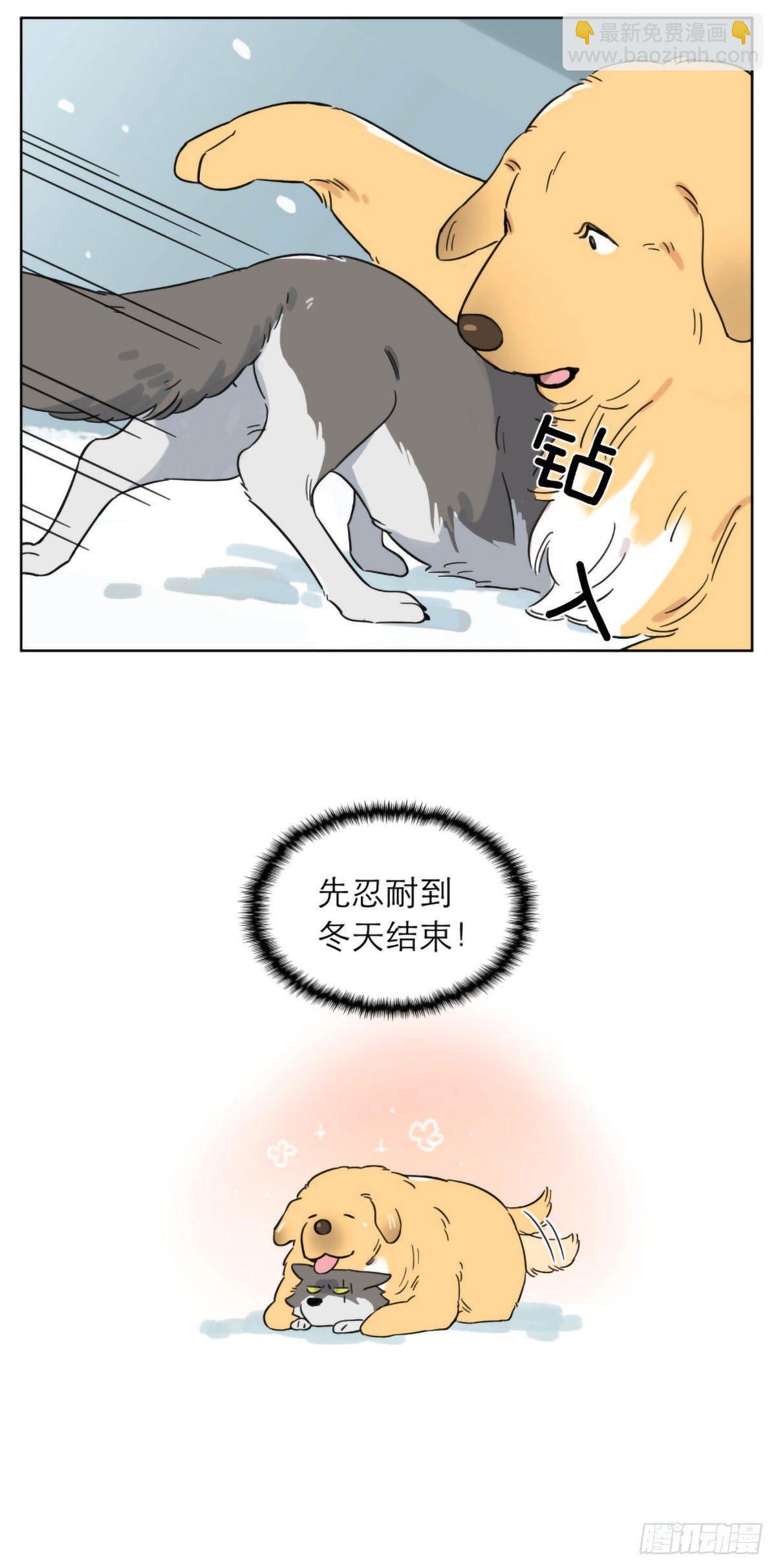 相遇后的第一个冬天-第3话