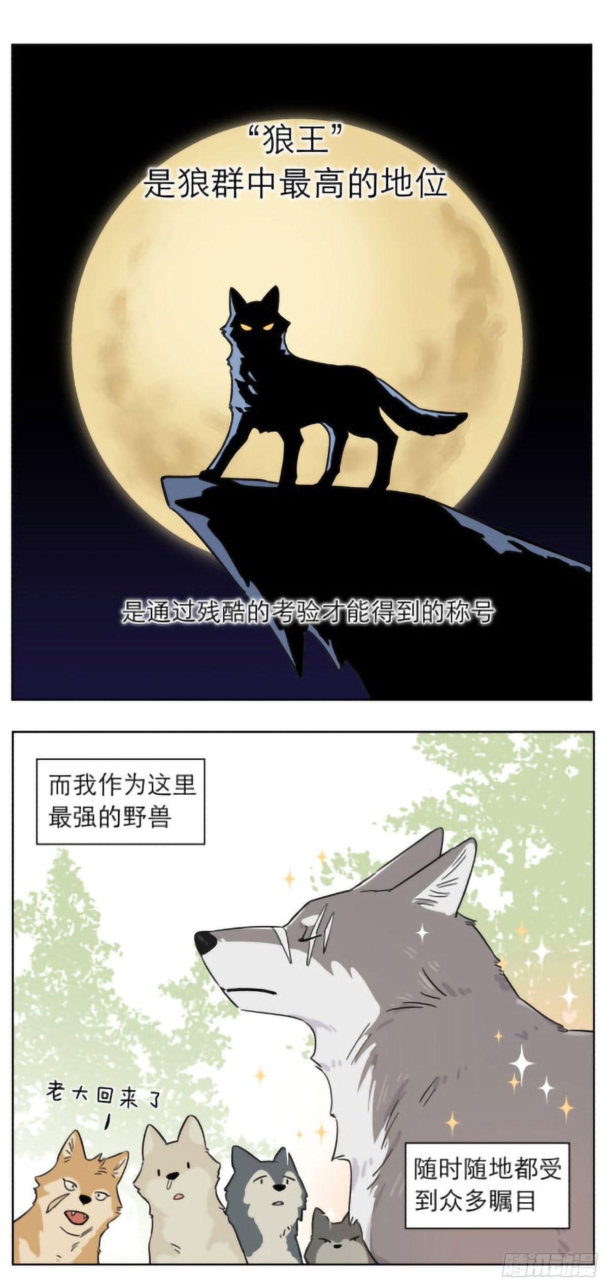 狼群里的小弟们 ​​​-第5话