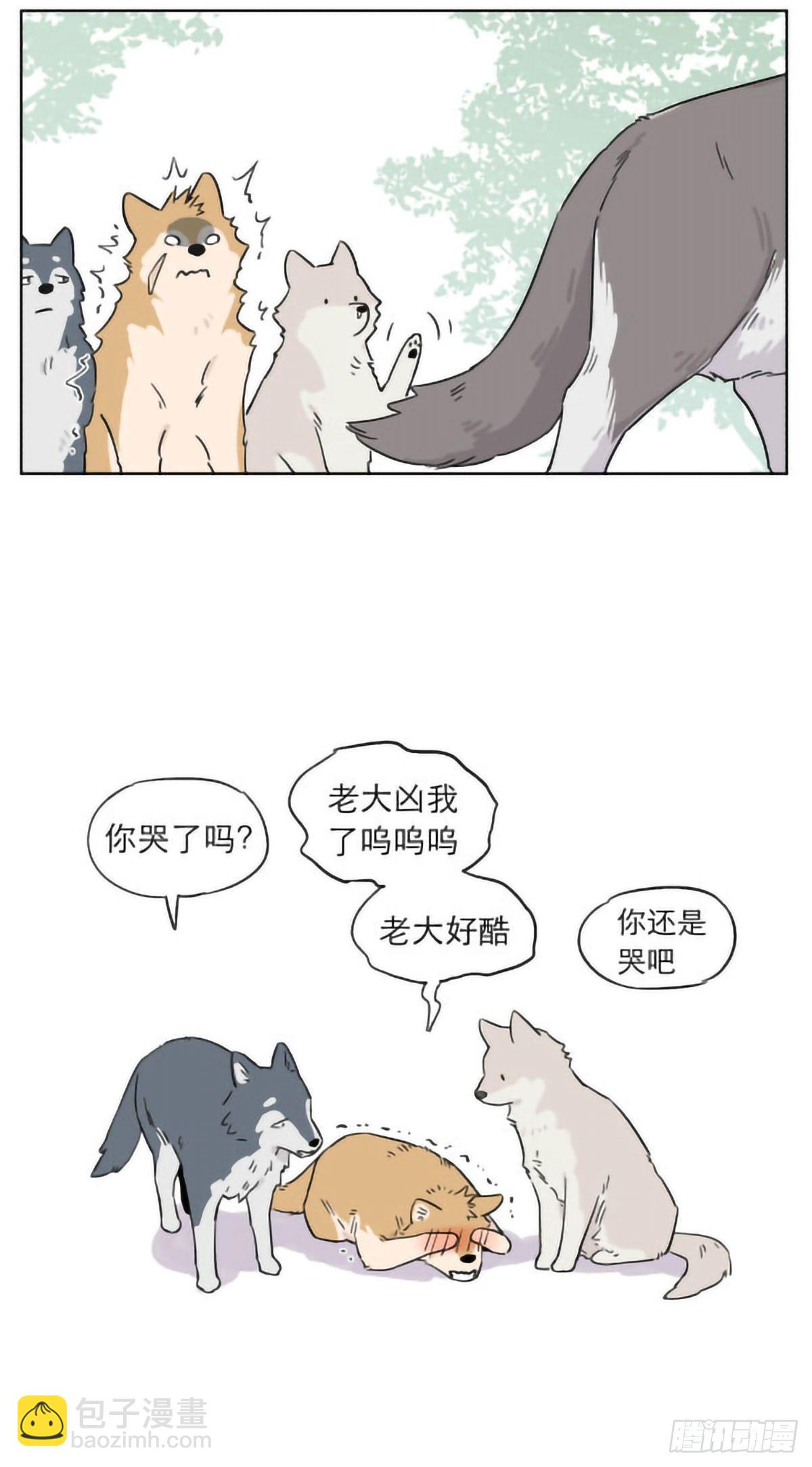 狼群里的小弟们 ​​​-第5话