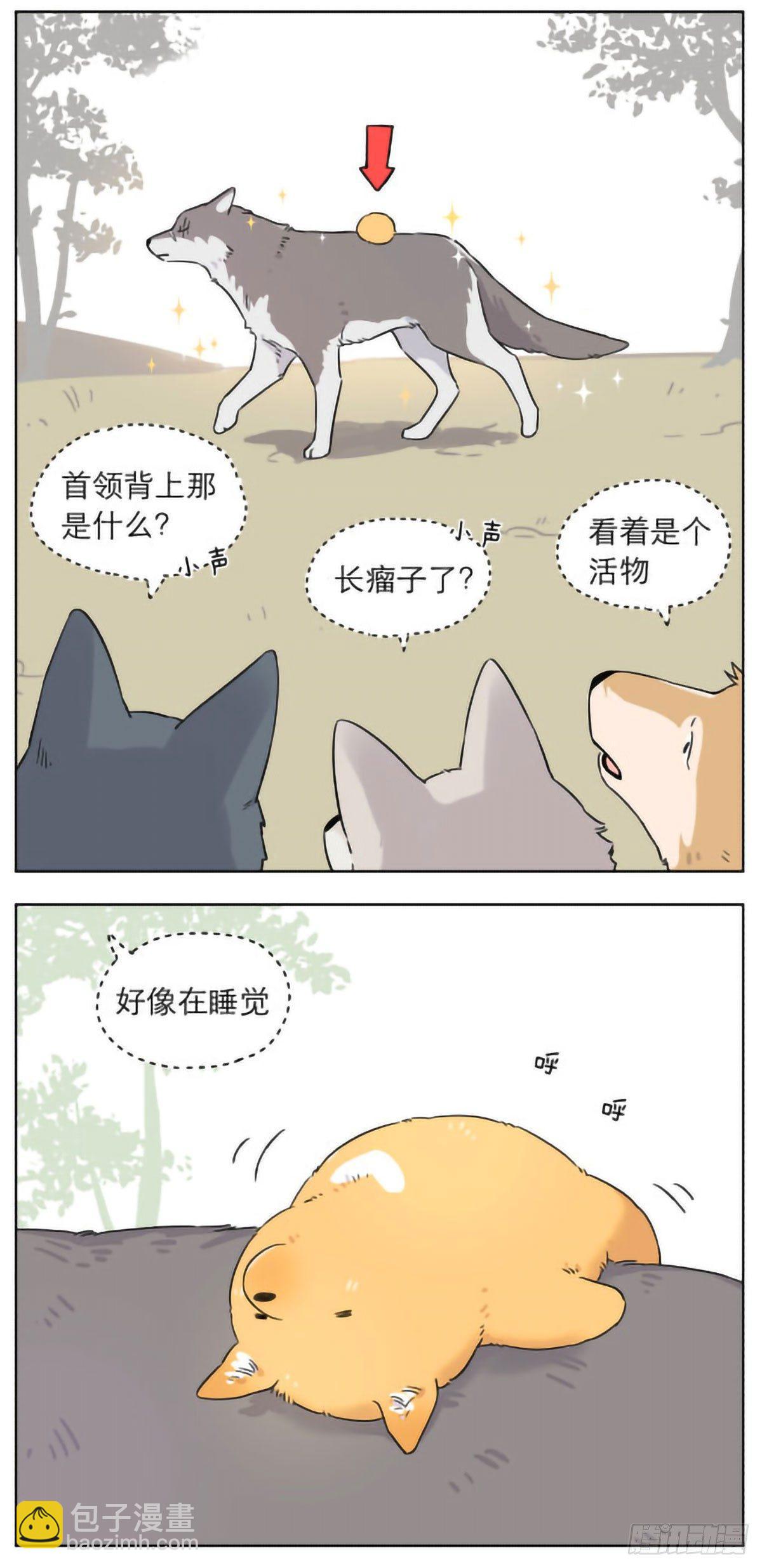 狼群里的小弟们 ​​​-第5话