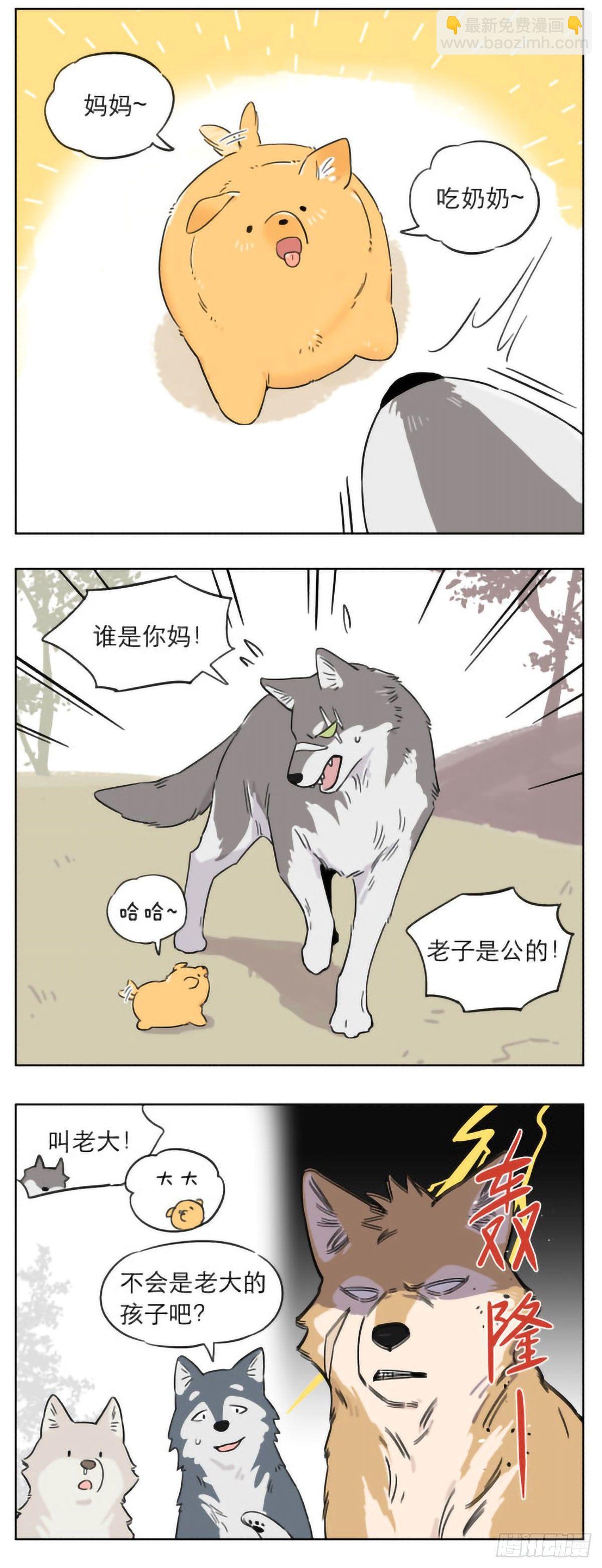狼群里的小弟们 ​​​-第5话