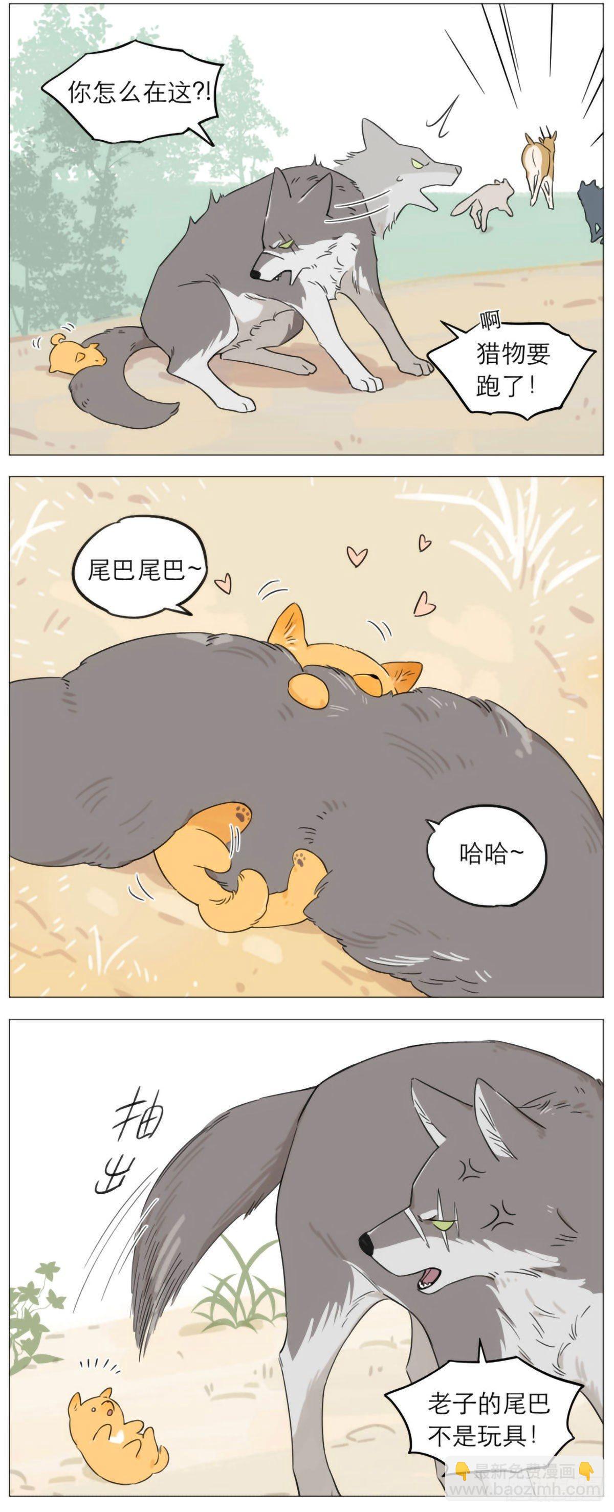 狼王的尾巴-第9话