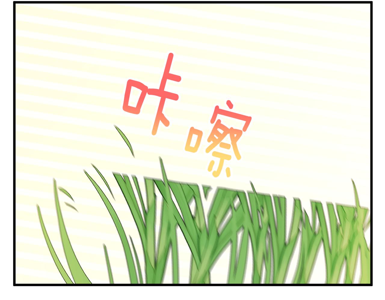 第5话 深夜采药邂逅(1/4)-第5话