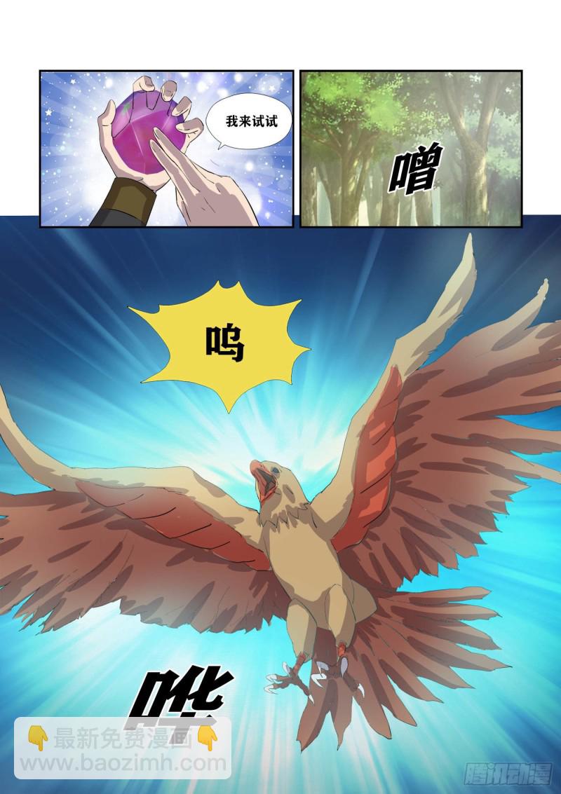 🍴剑逆苍穹 305   叫它小金吧 第8页