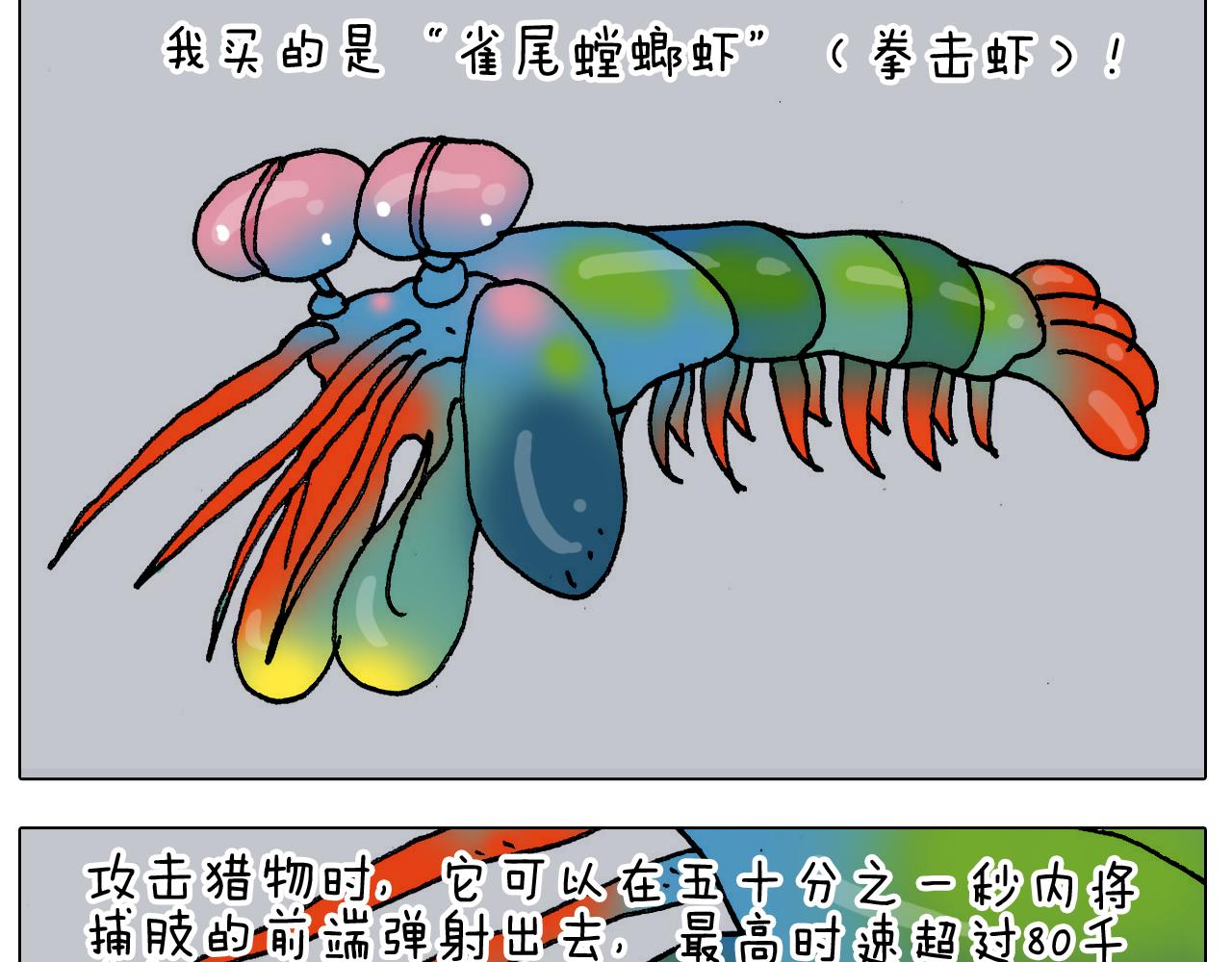 第302话 超级海鲜(1/2)-第301话