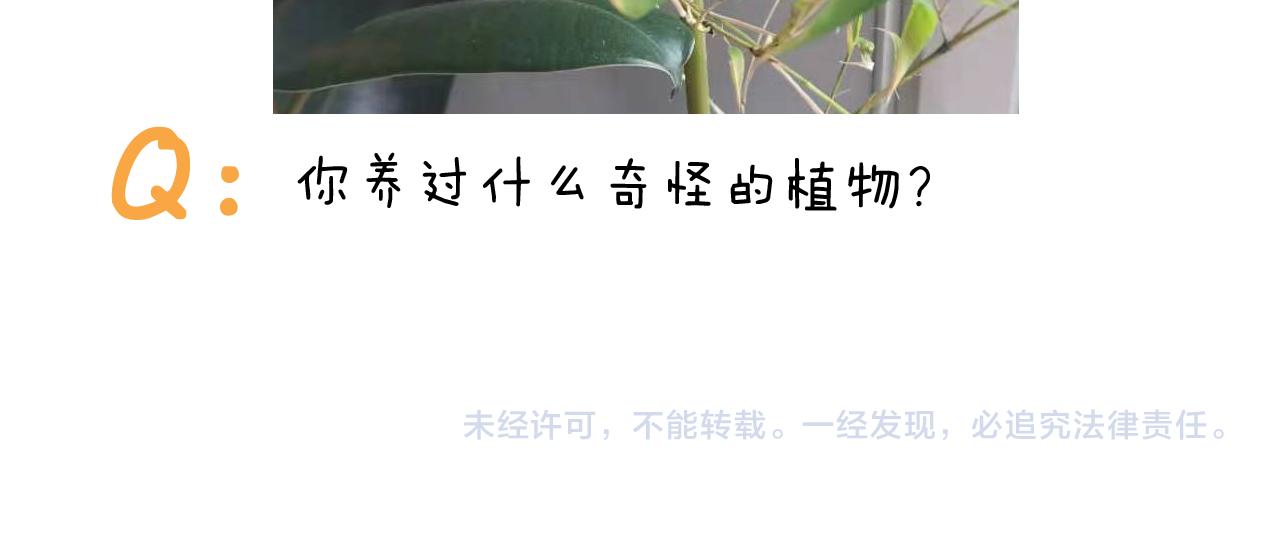 第366话 一语成谶(1/2)-第365话