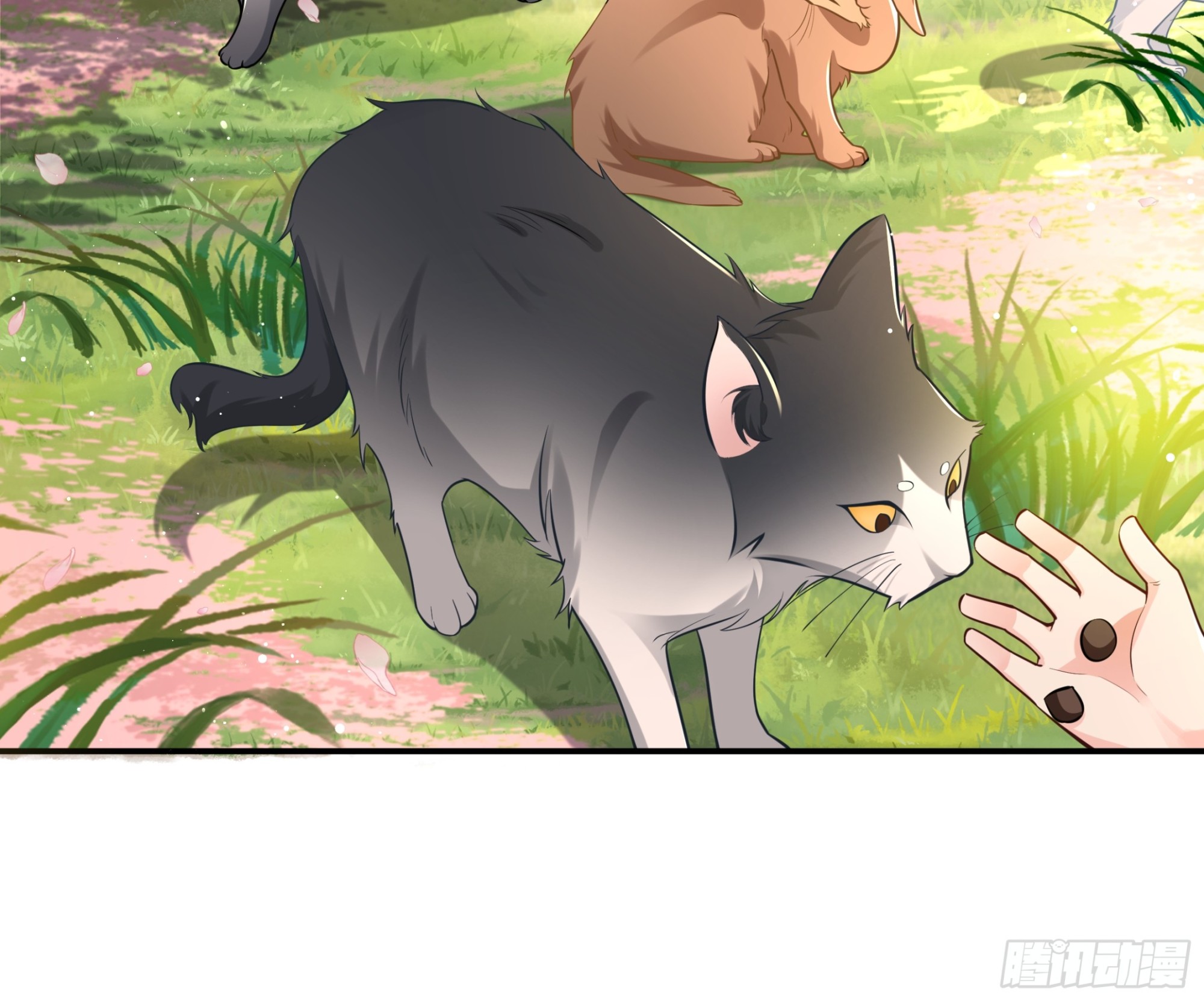 圣书作画，落花无情(1/2)-第53话