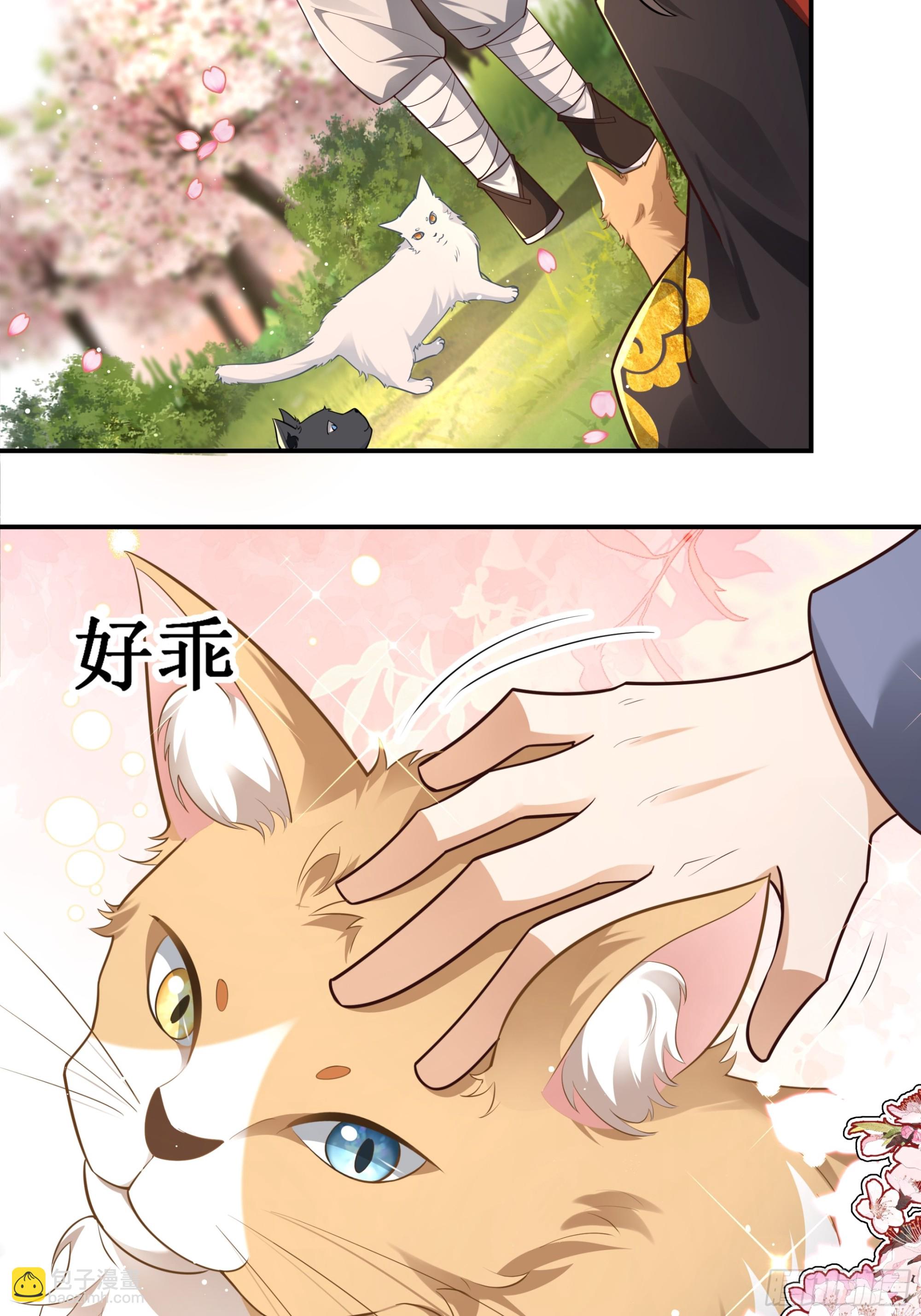 圣书作画，落花无情(1/2)-第53话