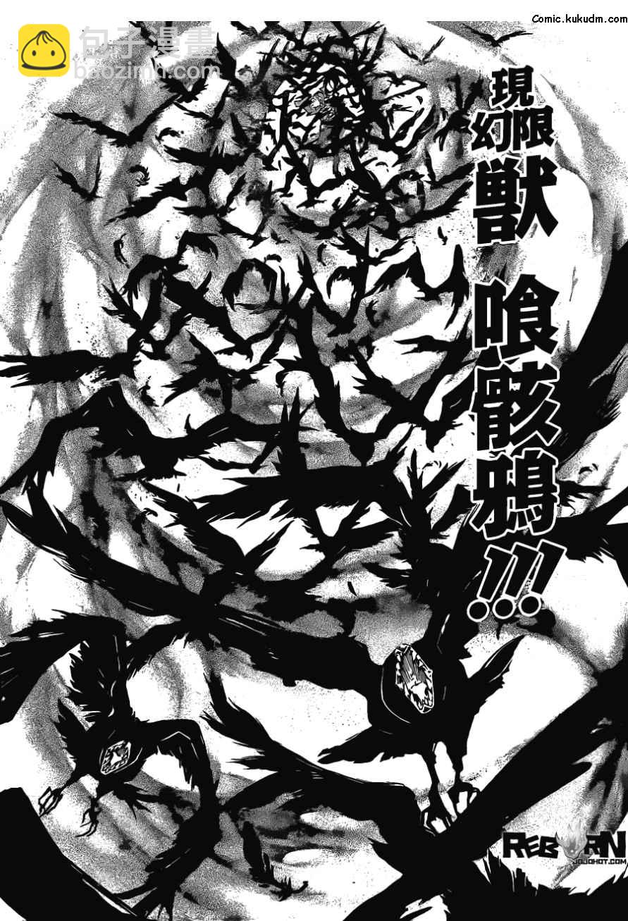 🍴家庭教师 第381话 联手战斗 第12页