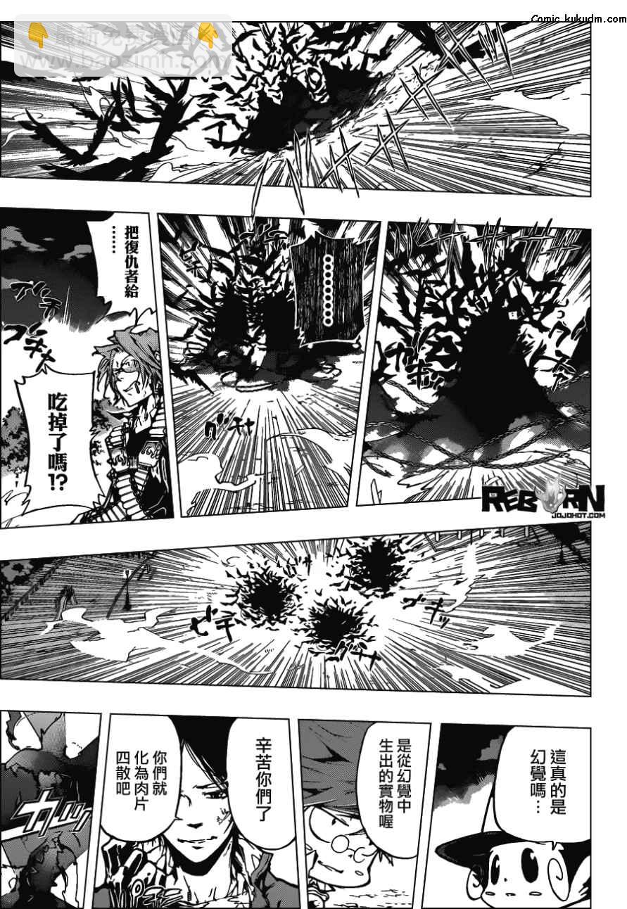 🍴家庭教师 第381话 联手战斗 第13页