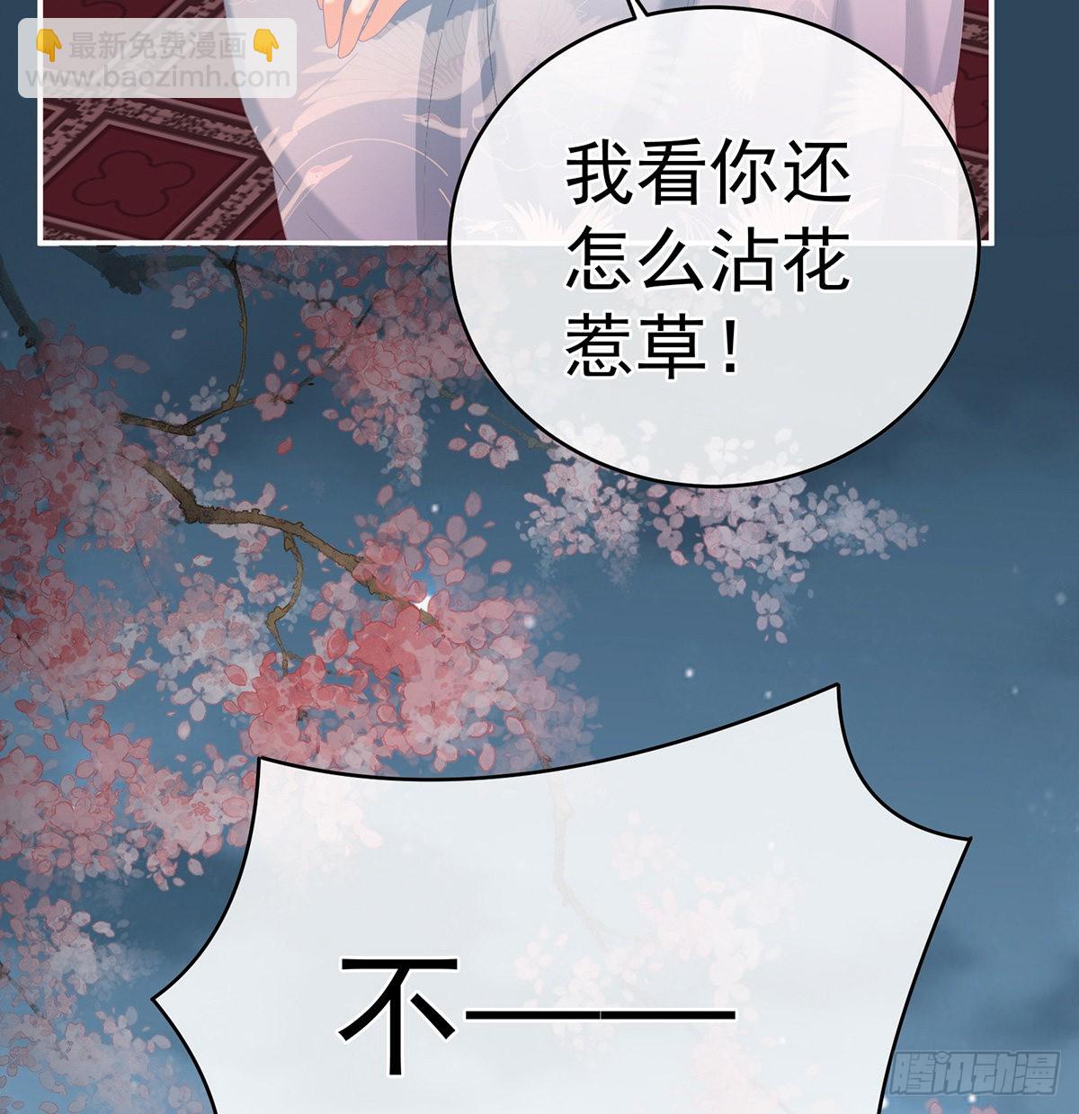 喜得双蛋(1/2)-第41话