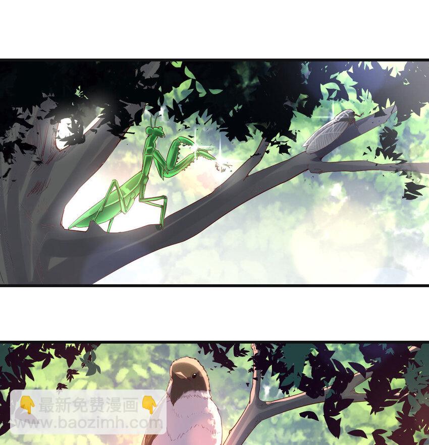 装傻的智慧(1/2)-第9话