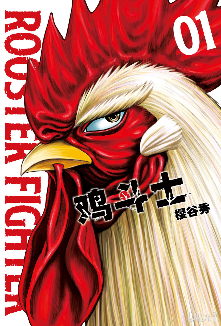 🍴鸡斗士 第1只 兽聚鸟散 第1页