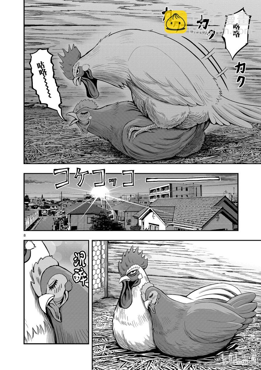 🍴鸡斗士 第1只 兽聚鸟散 第11页