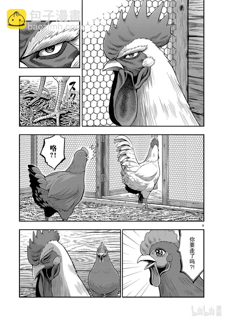 🍴鸡斗士 第1只 兽聚鸟散 第12页