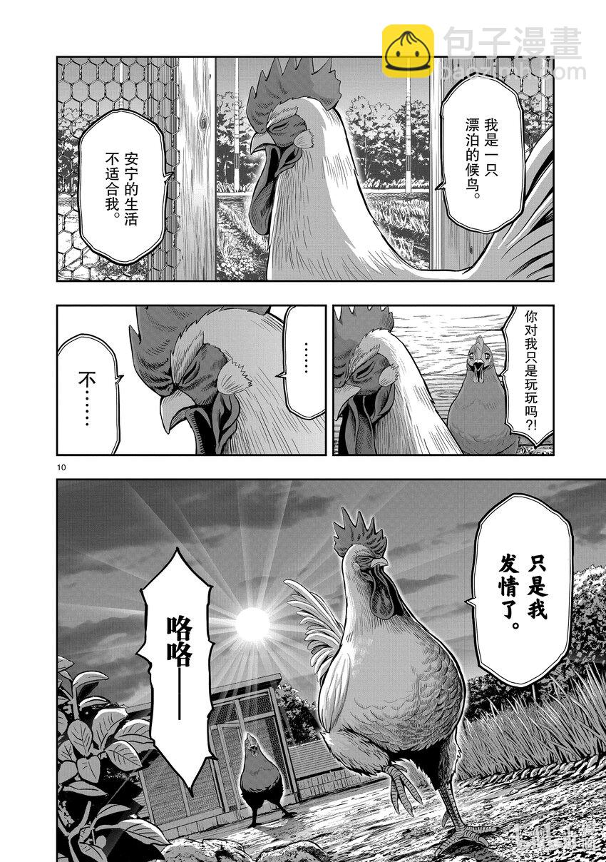 🍴鸡斗士 第1只 兽聚鸟散 第13页