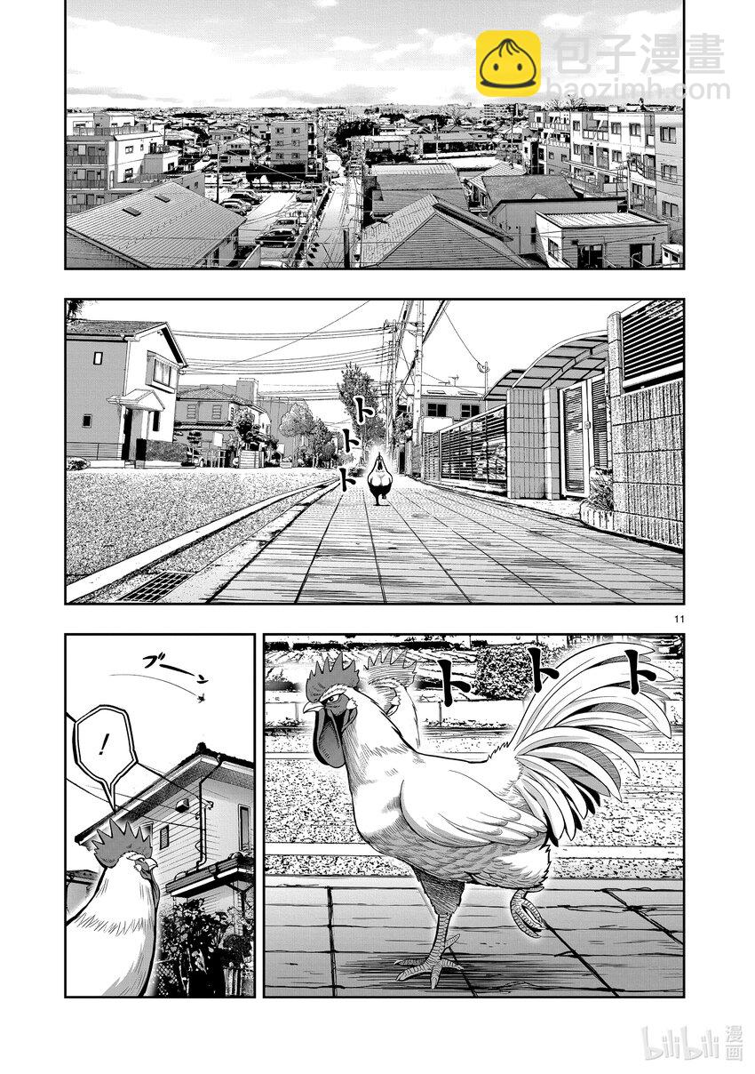🍴鸡斗士 第1只 兽聚鸟散 第14页
