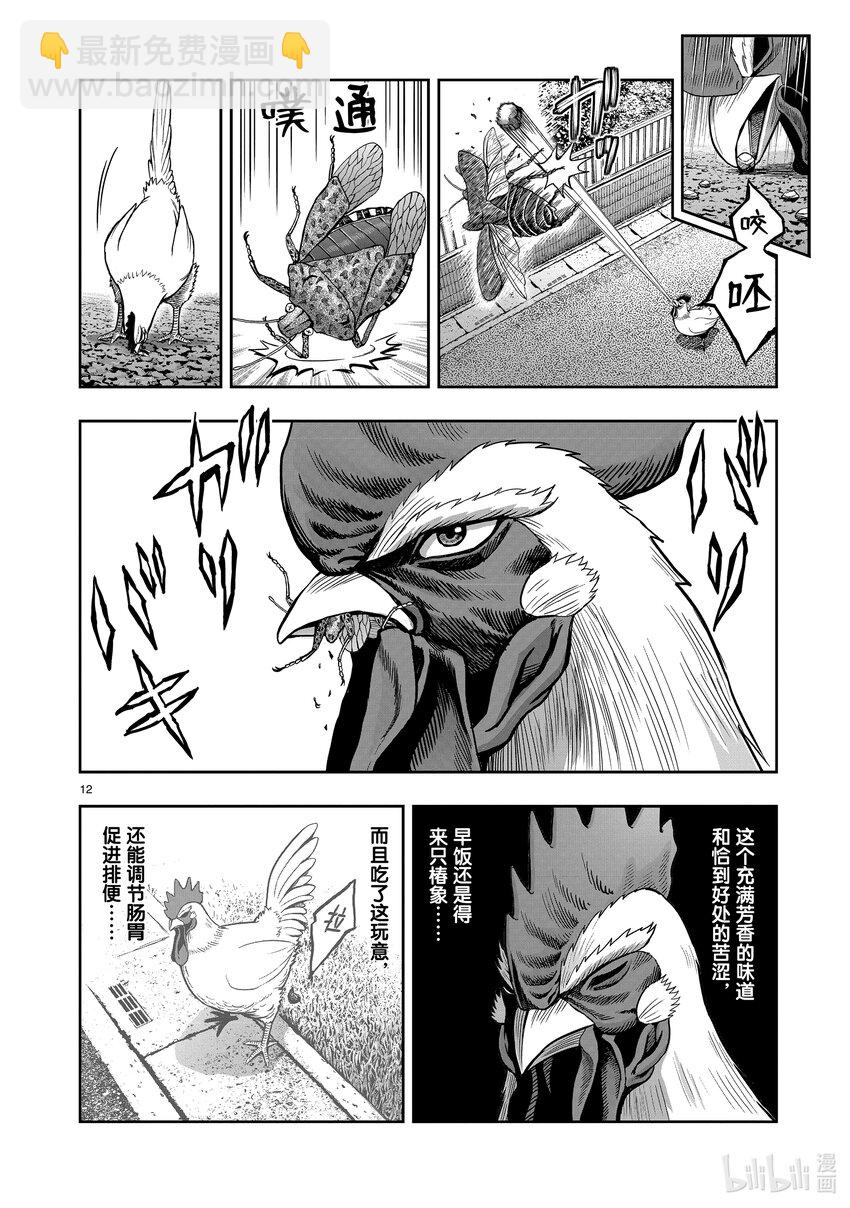 🍴鸡斗士 第1只 兽聚鸟散 第15页