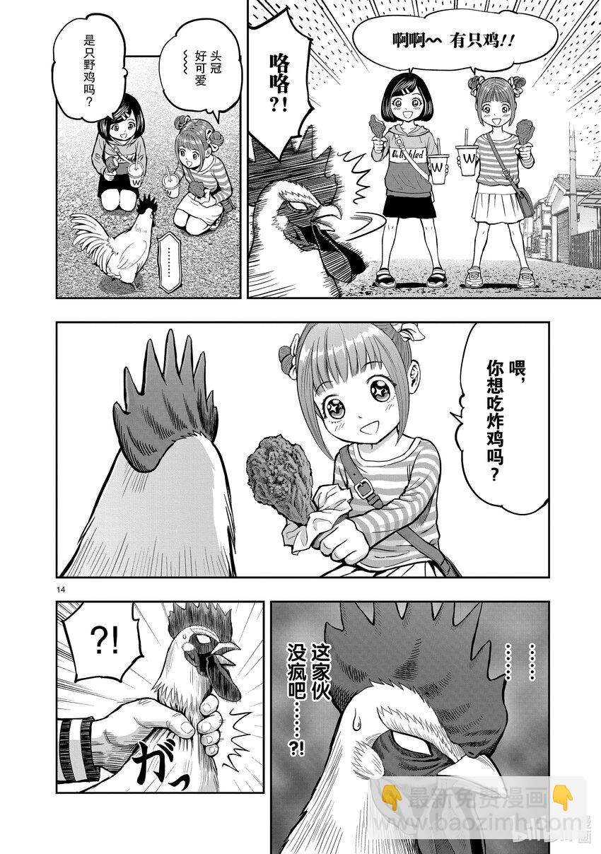 🍴鸡斗士 第1只 兽聚鸟散 第17页