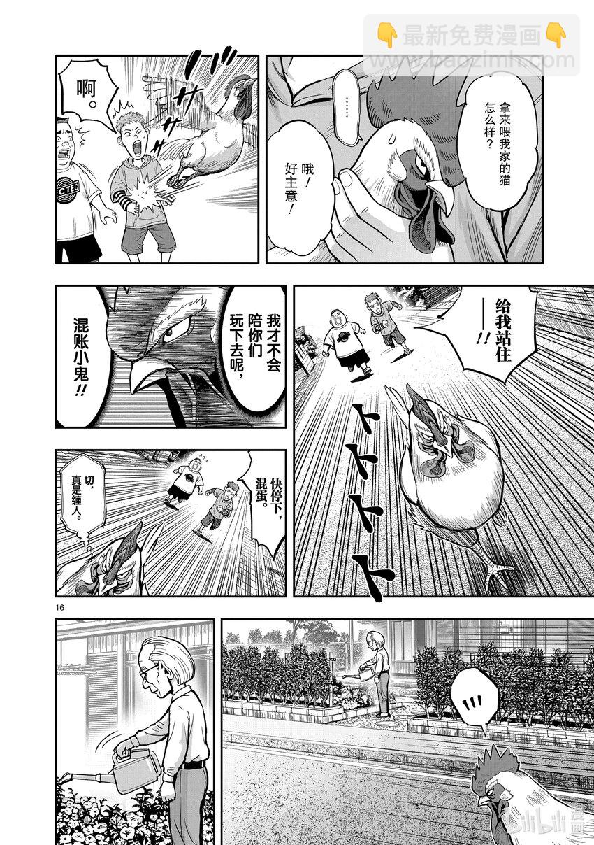 🍴鸡斗士 第1只 兽聚鸟散 第19页