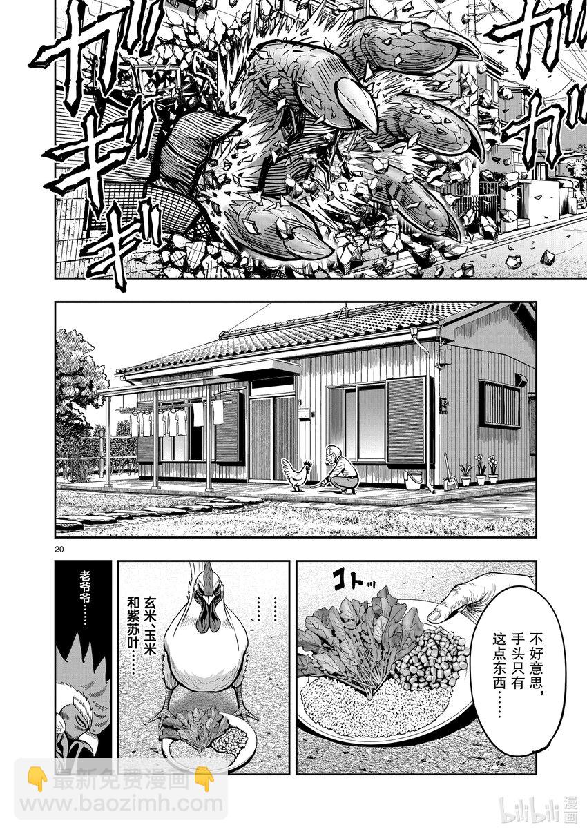 🍴鸡斗士 第1只 兽聚鸟散 第23页